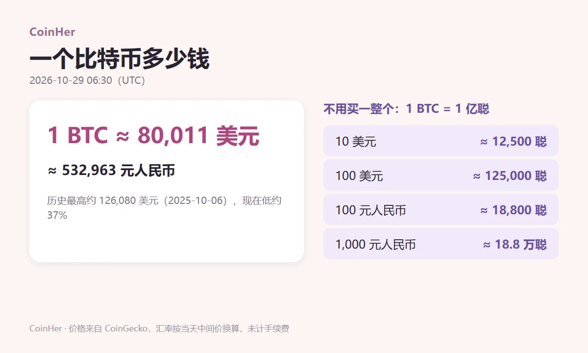 一个比特币的价格换算图：2026 年 10 月 29 日 1 BTC 约 80,011 美元，约 532,963 元人民币；1 BTC 等于 1 亿聪；100 美元约可买 0.00125 BTC，也就是约 12.5 万聪；100 元人民币约可买 18,763 聪；历史最高约 126,080 美元（2025 年 10 月 6 日）